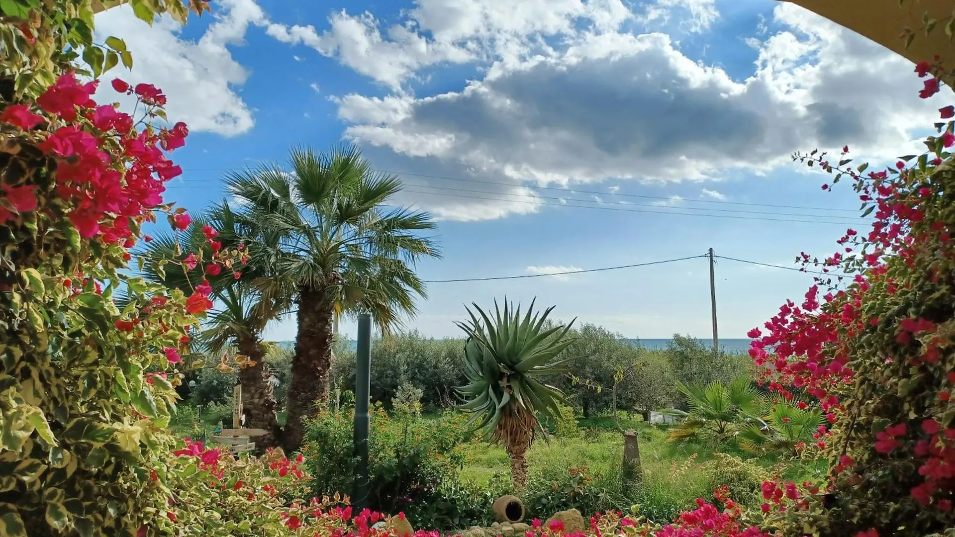 Vela Vega Hostel Butera